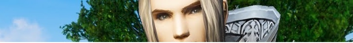 L2Elegant banner