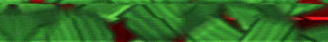AppleMC banner