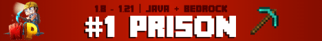 WildNetwork banner