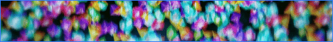 Tidefall Network banner