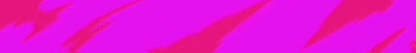 MagicMC Network banner