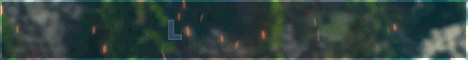 Lintukoto banner