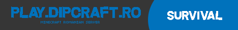 Play.DipCraft.Ro ----> Network MD-RO banner