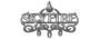 Skyfire317 Custom! Logo